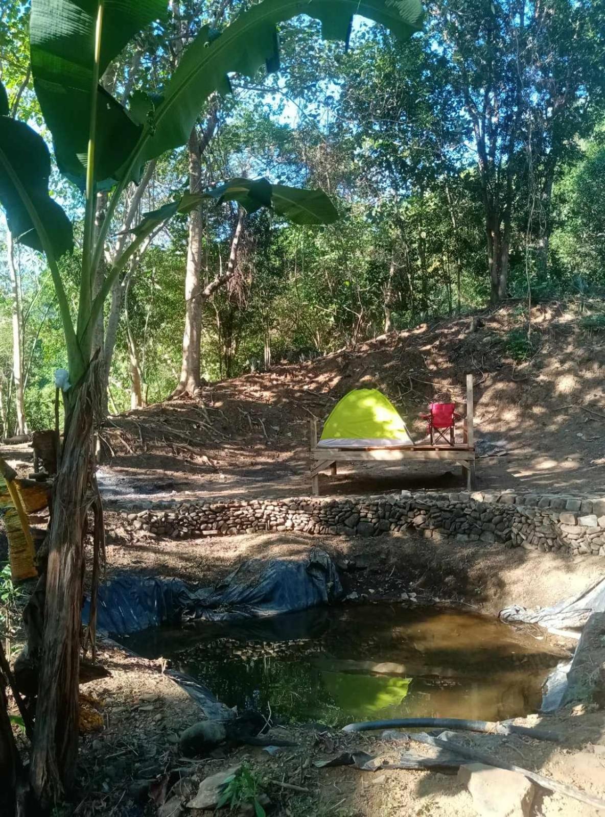 Camping Ground @ Eastdee Lidlidda Εξωτερικό φωτογραφία