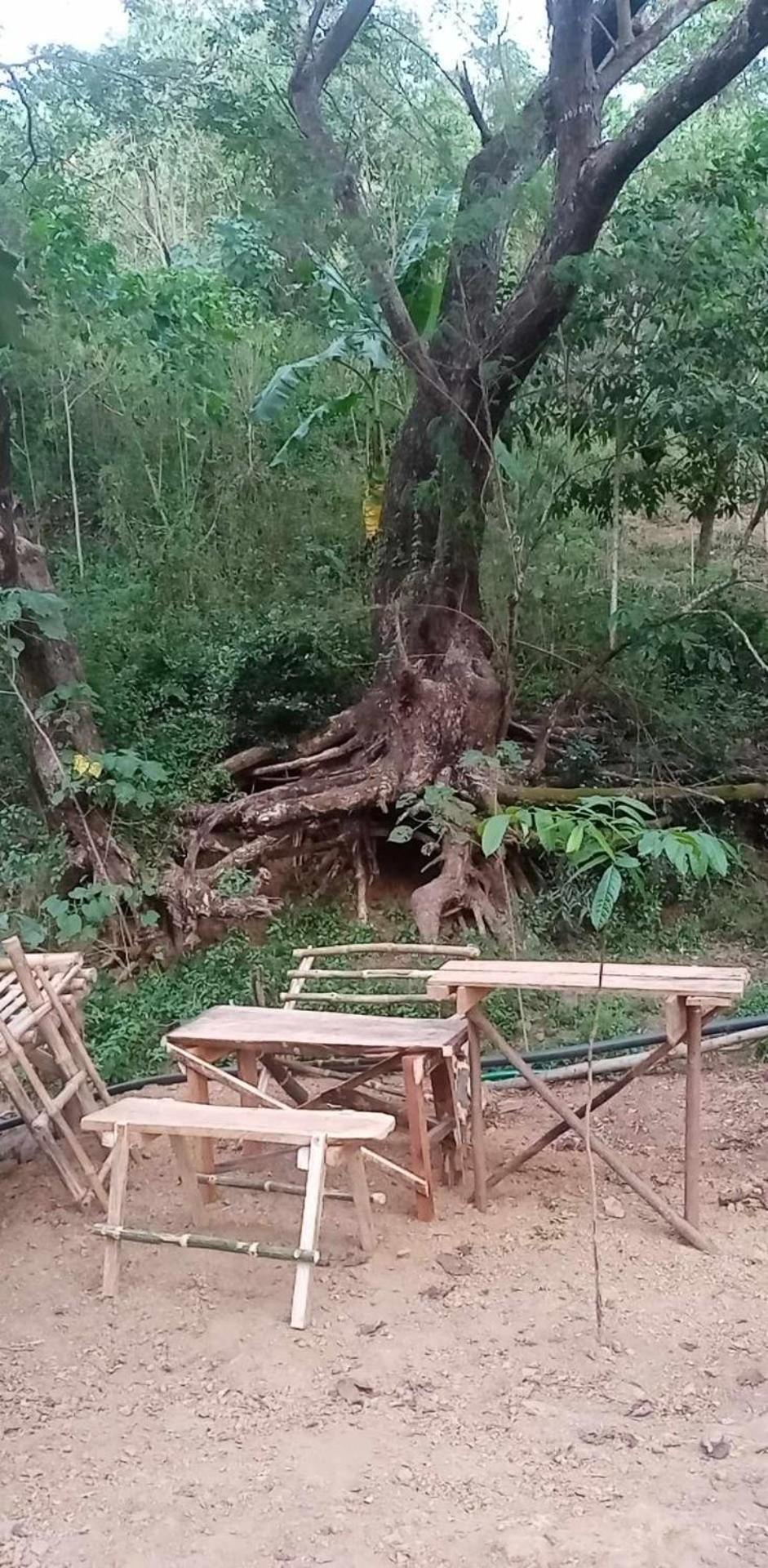 Camping Ground @ Eastdee Lidlidda Εξωτερικό φωτογραφία